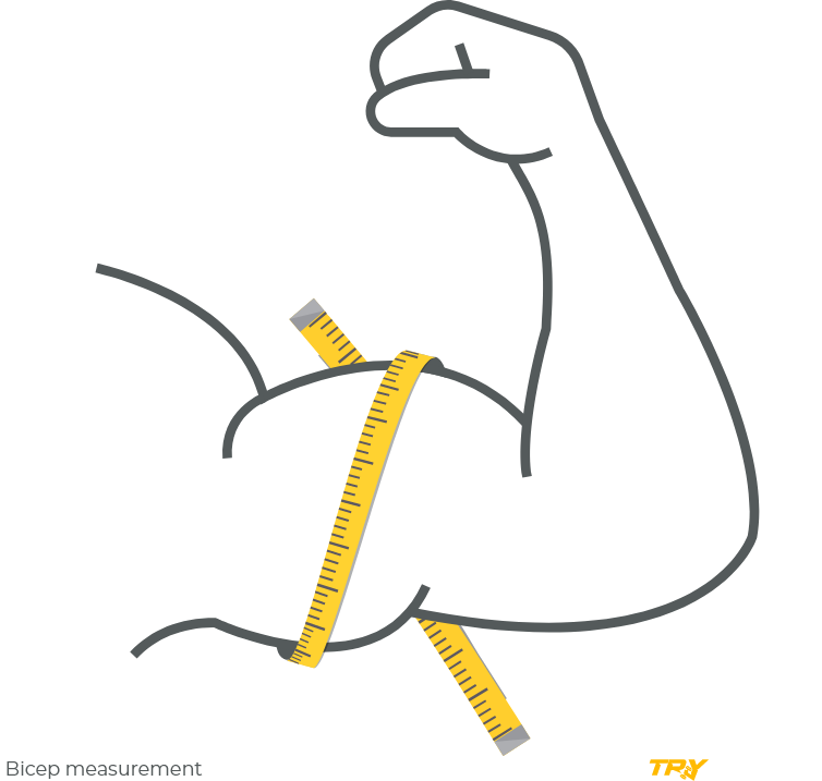 Bicep circumference